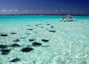 Туризм Карибы, туризм Карибские острова (Балашиха)